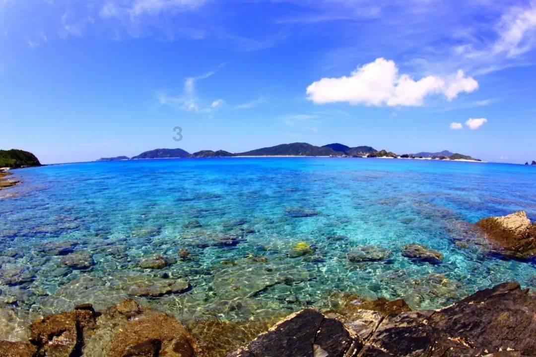 虫虫助手下载